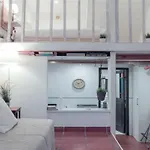 Cool Tailor Made Studio